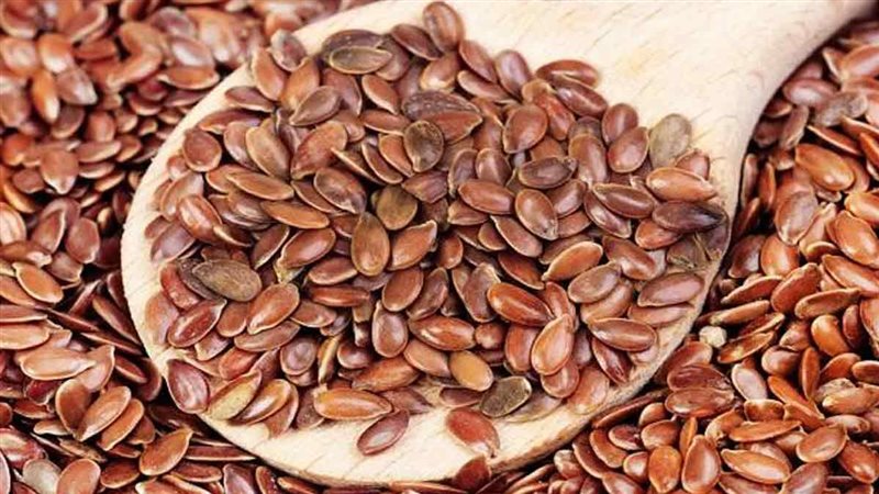 حب الرشاد وفوائده