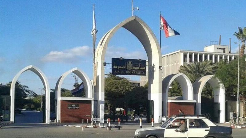 جامعة أسيوط تنظم