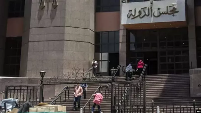 مجلس الدولة 