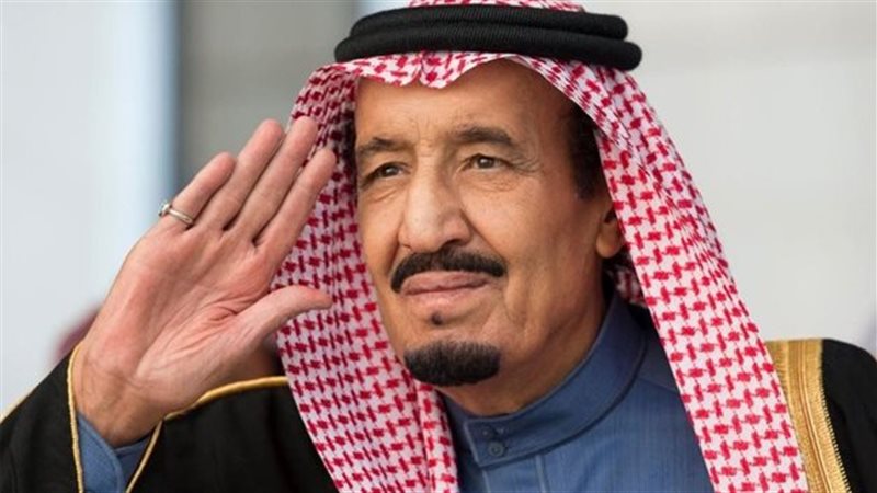 الملك سلمان، فيتو