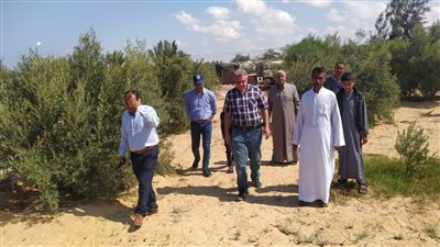 الزراعة تتابع المحاصيل ومنظومة مكافحة الآفات بشمال سيناء 