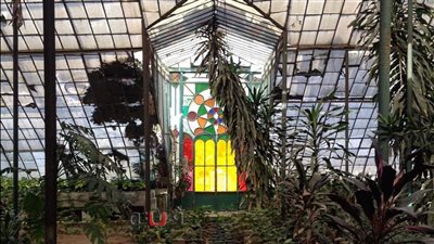 الزراعة تنفى إغلاق حديقة الزهرية بالزمالك 