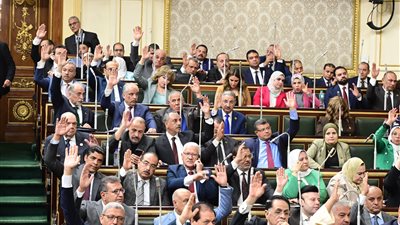 مجلس النواب يوافق على زيادة حصة مصر في صندوق النقد الدولي