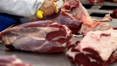 يصل لـ 20 جنيها، انخفاض أسعار اللحوم الضاني بالأسواق اليوم الإثنين