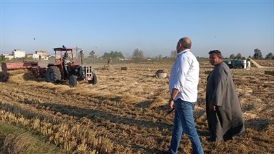 رئيس فرع البيئة بالبحيرة في جولات مكثفة لمتابعة استغلال قش الأرز (صور)