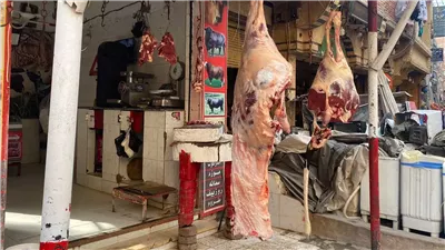  بانخفاض يصل لـ 27.5 جنيها، ننشر أسعار اللحوم الكندوز في الأسواق