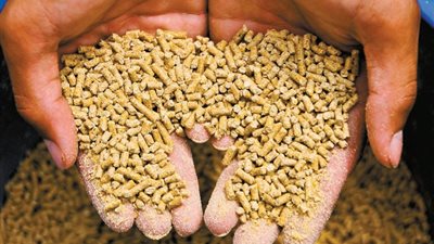 طن الردة يرتفع 400 جنيه، أسعار الأعلاف والحبوب في الأسواق