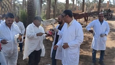 الخدمات البيطرية تشن حملات مكبرة على مراكز بيع الأدوية البيطرية واللقاحات