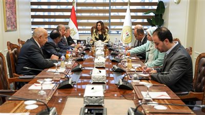 تفاصيل لقاء وفد الأطباء بوزيرة التنمية المحلية لبحث أزمة التصالح على العيادات