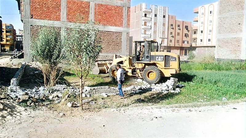 اثناء الإزالة, فيتو
