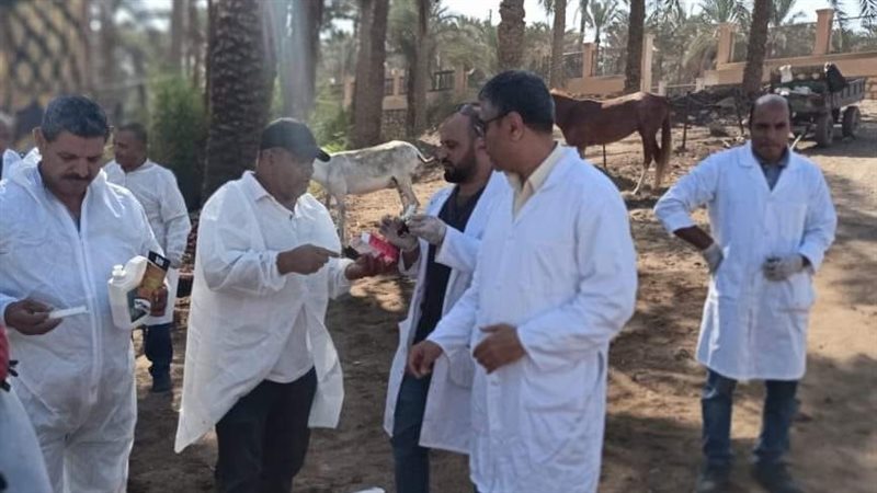 قافلة بيطرية