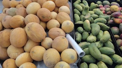 المانجو تتراجع 7 جنيهات، أسعار الفاكهة اليوم في سوق العبور