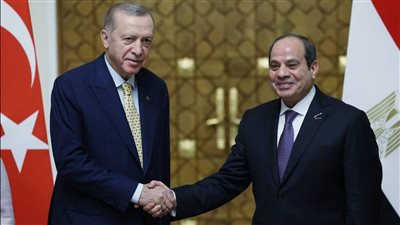 السيسي وأردوغان يؤكدان الرفض التام لتهجير الفلسطينيين من أراضيهم وتصفية القضية 
