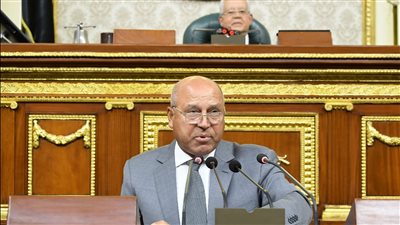 كامل الوزير: طرحنا 1124 قطعة أرض للاستثمار الصناعي خلال 130 يوما