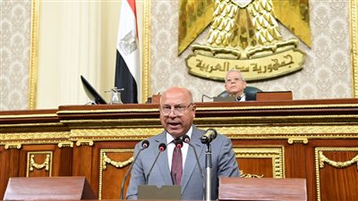 كامل الوزير: نستورد ورق فويل بـ140 مليون دولار وليس لدينا مصنع واحد ينتجه