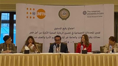 خالد عبدالغفار: الحكومة المصرية تضع الصحة الإنجابية على رأس أولوياتها