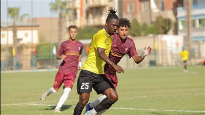 فوز لافيينا وأسوان، نتائج مباريات اليوم الثلاثاء في دوري المحترفين