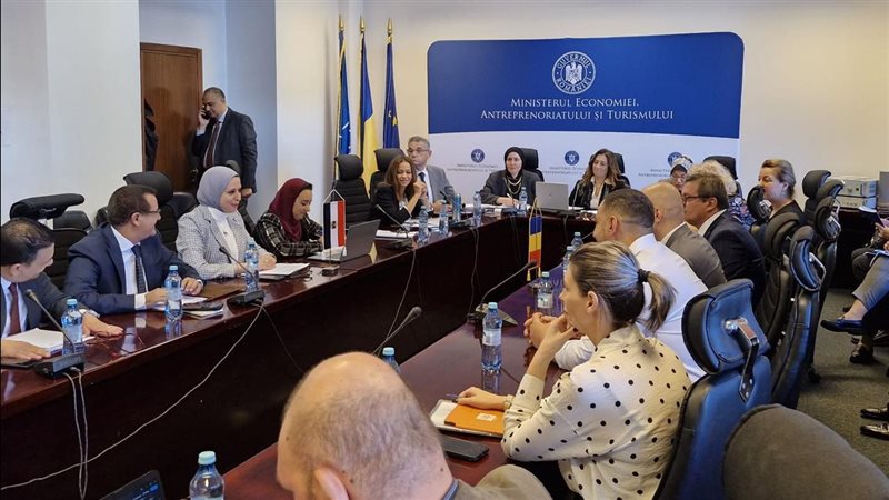 الاجتماعات الفنية