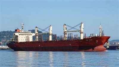 تداول 14 ألف طن بضائع و780 شاحنة بموانئ البحر الأحمر