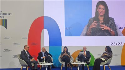 المشاط: المنصات الوطنية ضرورية لترجمة الاستراتيجيات إلى مشروعات قابلة للتمويل 