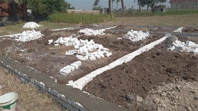 إزالة فورية لـ 3 حالات تعد على أراض زراعية وبناء مخالف في القوصية بأسيوط