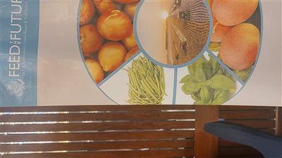 الوكالة الأمريكية للتنمية: 71 مليون دولار لمشروع تعزيز الأعمال الزراعية والقمح في مصر