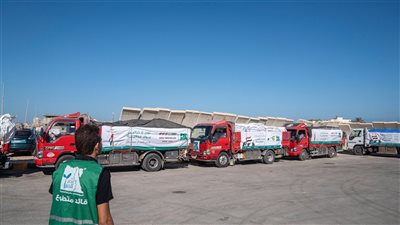 محافظ شمال سيناء يشهد اصطفاف شاحنات مصر الخير