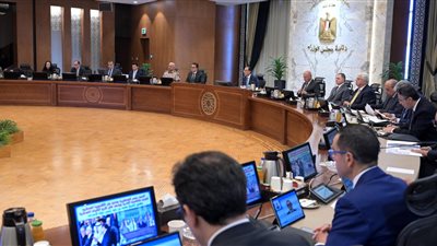 مدبولي: الرئيس السيسي بعث رسائل طمأنة تؤكد قوة وقدرة الدولة على حماية حدودها 