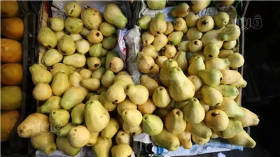 انخفاض الجوافة والكانتلوب، أسعار الفاكهة اليوم في سوق العبور