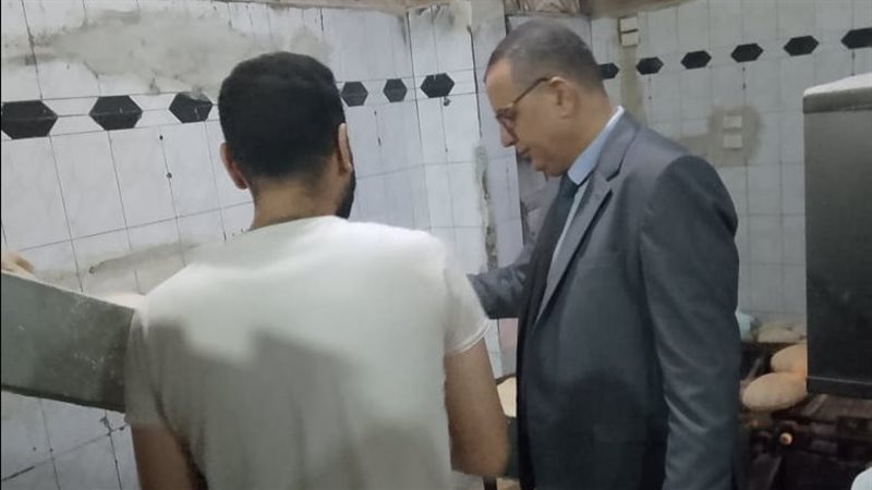 حملات تموينية بالدقهلية،