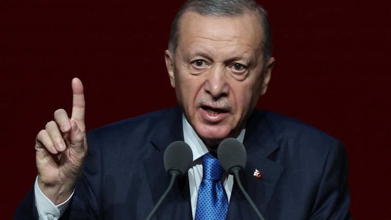 اردوغان، فيتو 