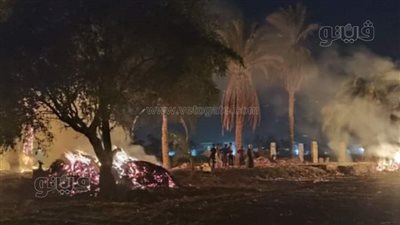 السيطرة على حريق داخل أرض زراعية في المنيا