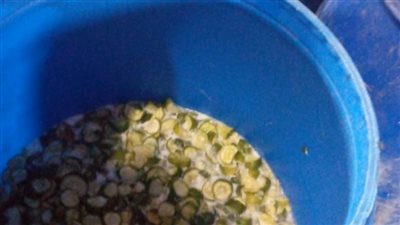 ضبط 6 أطنان مخلل فاسد في القليوبية