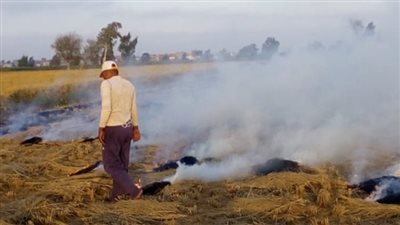 تحذير هام للمزارعين خلال الـ48 ساعة القادمة.. ما القصة؟ (فيديوجراف)
