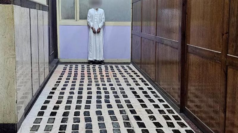 ضبط عناصر إجرامية