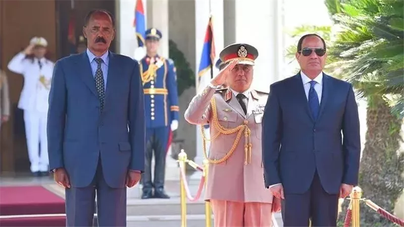 الرئيس السيسي، فيتو