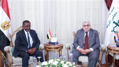 رئيس مجلس الدولة يبحث التعاون مع المدير الإقليمي لمجموعة البنك الدولي