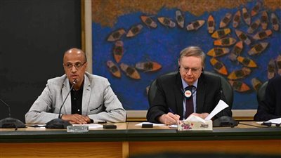 الزناتي: على أوروبا السعي لوقف التوترات بالمنطقة والصراع ليس في صالح الشعوب