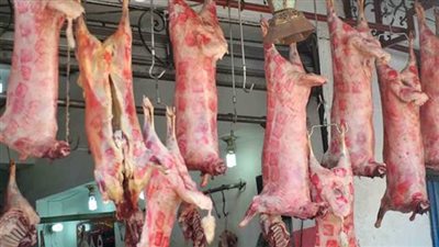  بزيادة تصل إلى 18 جنيهًا، ارتفاع أسعار اللحوم الضاني بالأسواق