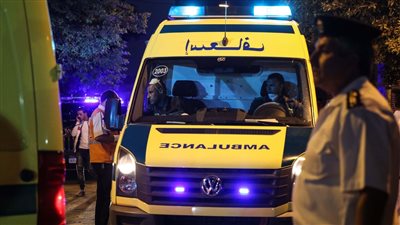 قرارات النيابة بحادث طعن شاب لشقيقته في الحوامدية بـ 20 طعنة