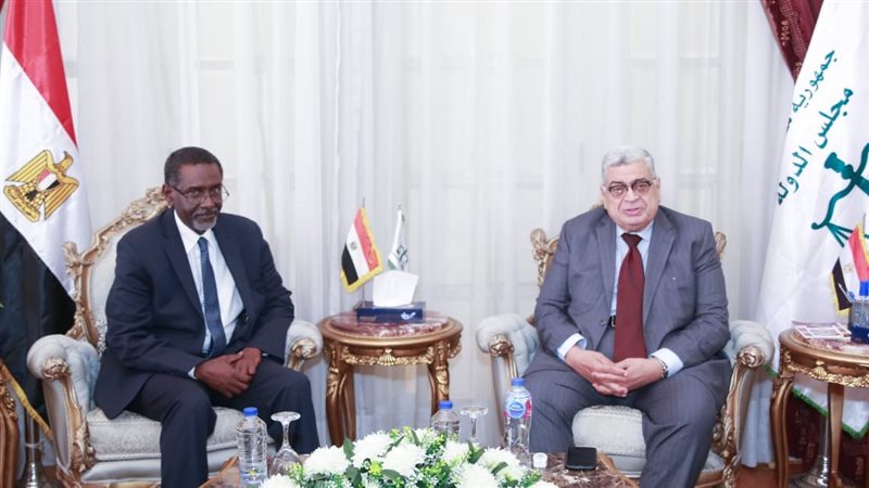 المستشار أحمد عبود