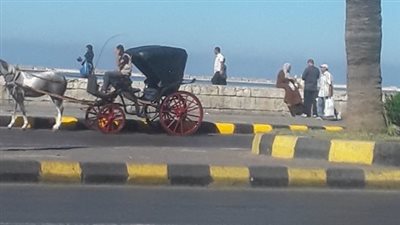 إعادة فتح طريق الجيش في الإسكندرية بعد انتهاء مشروع إدارة مياه الأمطار