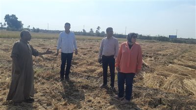 وزارة البيئة تواصل جهودها لمواجهة تلوث الهواء في الغربية وكفر الشيخ