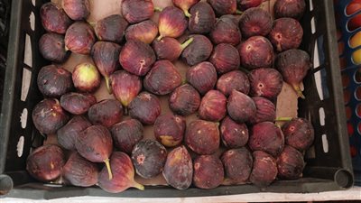 التين بـ 30 جنيهًا، أسعار الفاكهة في سوق العبور اليوم السبت