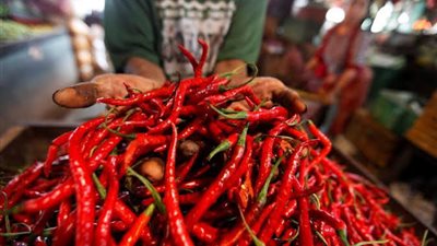 تفضيل الأطعمة الحارة تكشف لغز الألم والمتعة في الدماغ