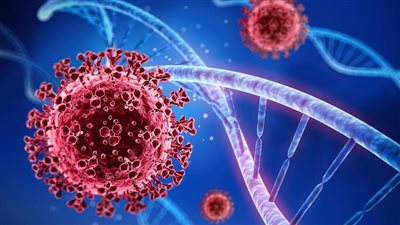 حقيقة انتشار مرض وبائي في قرى أطفيح بمحافظة الجيزة