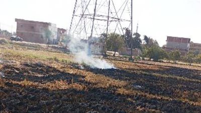  جهاز شئون البيئة يحرر 267 محضرًا بسبب حرق قش الأرز في الشرقية 