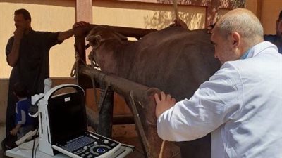 قافلة طبية بيطرية بالمجان بمراكز الشرقية
