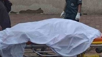 مصرع سيدة وإصابة نجلها نتيجة تسريب غاز بالمطرية