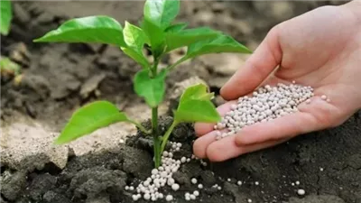 طن اليوريا العادي يرتفع 4196 جنيهًا، تعرف على أسعار الأسمدة بالأسواق